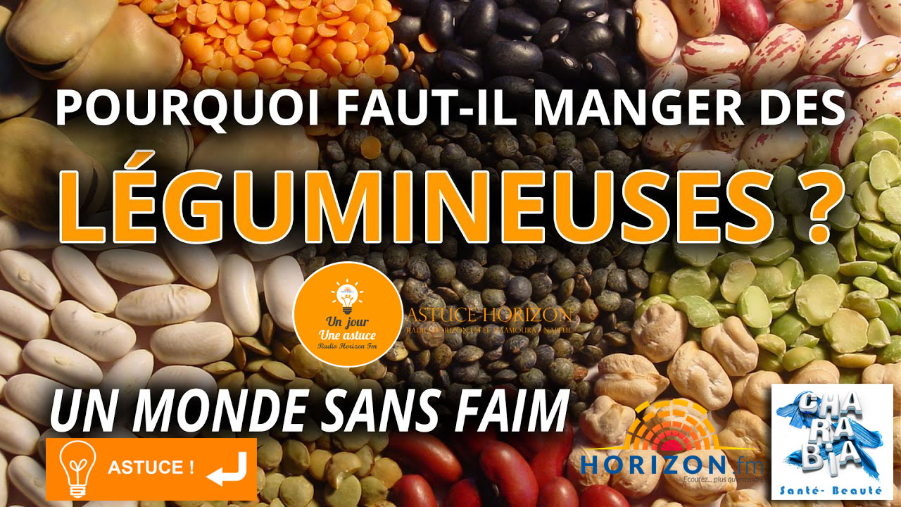 Haricots, lentilles, fèves, pois : les bienfaits des légumineuses